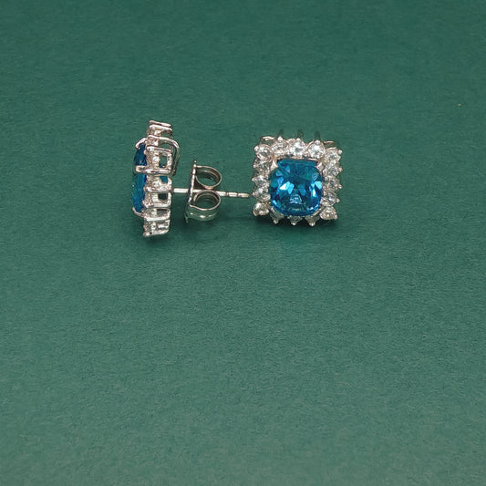 Pair of silver earrings with blue gemstones on a green background

