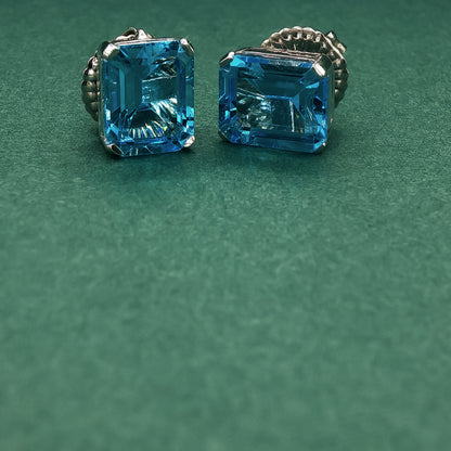 Pair of silver earrings with blue gemstones on a green background

